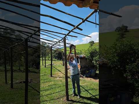BARRACA PARA FESTA NO SÍTIO RIBEIRÃO BONITO SANTO ANTÔNIO DA PLATINA PR 🇧🇷 #sitio #festa