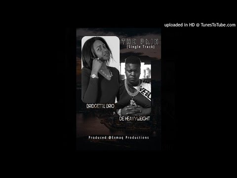 Bridgette Brio ft De HeavyWeight THE PAIN