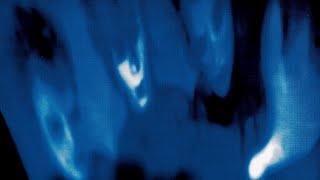 The Cure - Cold (LYRICS ON SCREEN) 📺