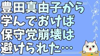 参政党議員の豊田真由子の解説によって日本保守党崩壊の原因が明らかに