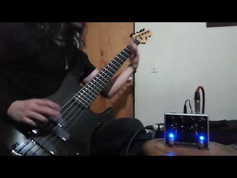 Frantic Disenbowelment - Cannibal Corpse Bass Cover A Standard