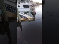 bass fishing on the st. Johns River great structure for bass many other species available - VILLE PICKLE FOOD TRAVEL ADVENTURE bass fishing on the st. Johns River great structure for bass many other species available