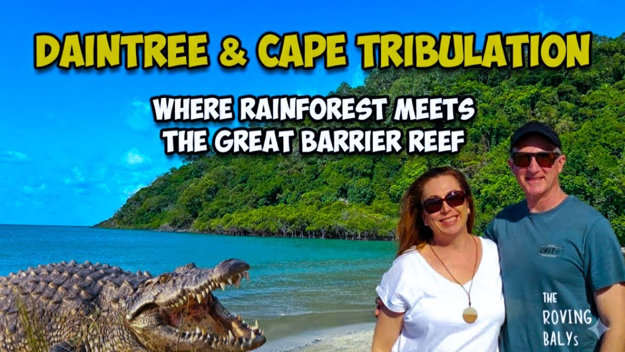 Experience a tour of Daintree Rainforest & Cape Tribulation alongside travelers.