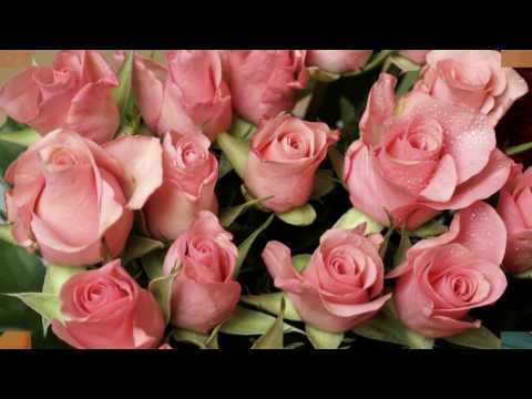 Ernesto Cortazar     Secret Feelings     HD  1080p