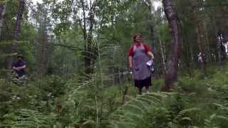 Minun kultani kaunis on