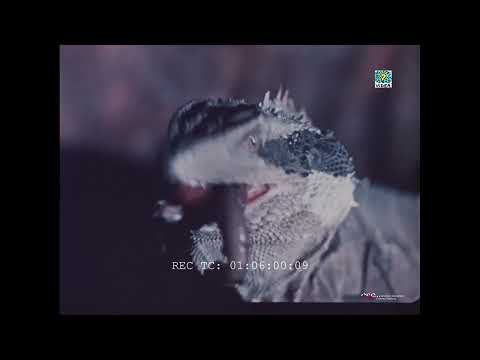 Sulle orme del passato (Franco Prosperi, 1959)