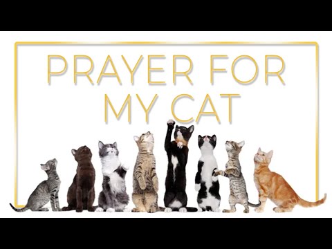 Prayer for My Cat. Pet's health prayer.