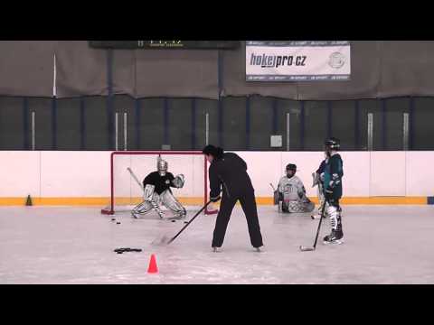 Trénink Brankářů