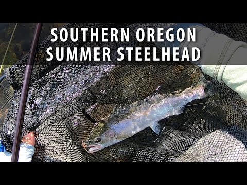 Oregon Summer Steelhead Fly Fishing (Spey) 2022