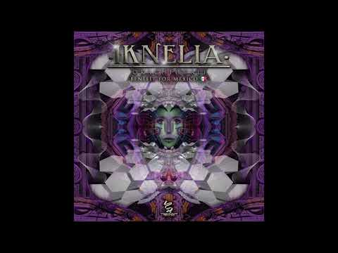 Tzolkin Project - Psilocibina