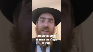 חיים מוארים! קצר ולעניין לפרשת ראה - חודש אלול עם הרב יחיאל גלוכובסקי (הרב יחיאל גלוכובסקי) - התמונה מוצגת ישירות מתוך אתר האינטרנט יוטיוב. זכויות היוצרים בתמונה שייכות ליוצרה. קישור קרדיט למקור התוכן נמצא בתוך דף הסרטון