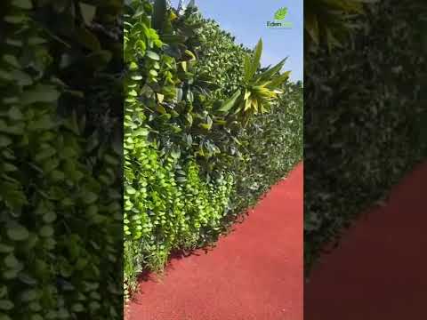 太陽と部分的な日陰にさらされる丈夫な多年草の生垣の根元にどの植物を置くか