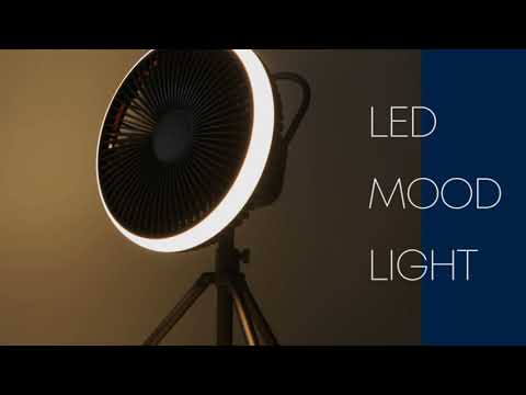 ��Ʈ�� Newsync BP100 ���� ���� ��ǳ��