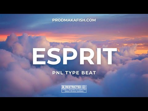 [FREE] PNL Type Beat 2023 "Esprit" - Instru Cloud Rap Planant || Cloud Rap Type Beats By Makafish