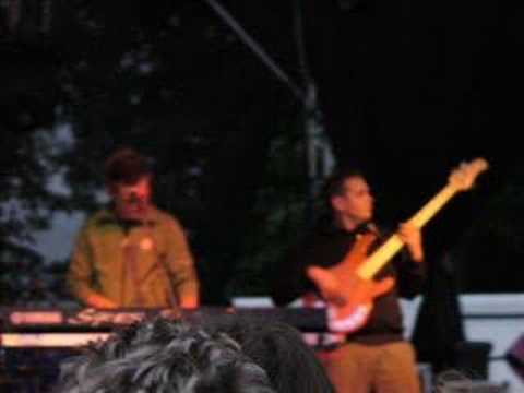 Kangaroz - kolorowe sny