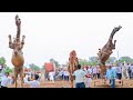 गाला पर डिंपल New Rajasthani Song 2024 Unt Unt Ka Dance New Camel Dance Priyan