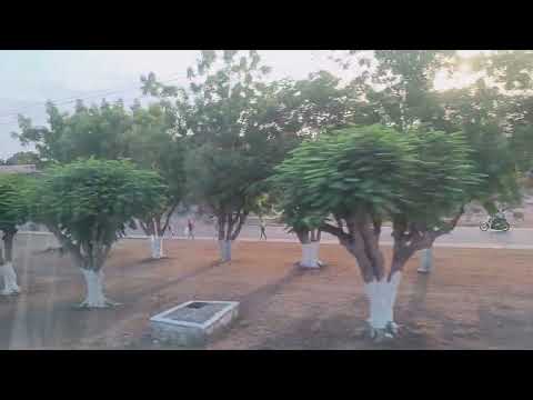 Mãe do Rio no Pará  Brasil