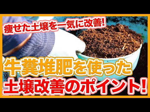 自分で堆肥の間違いを避ける方法