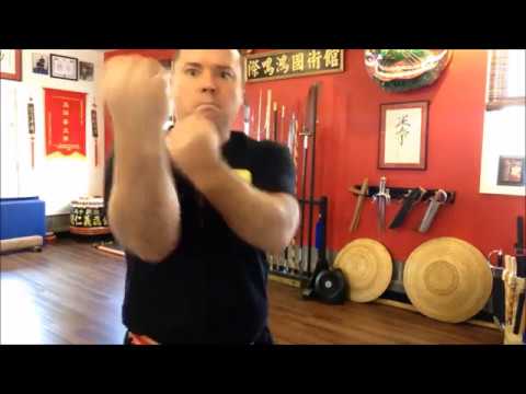 Mark V. Wiley's Ngo Cho Kun  - 5 Ancestor Fist - 五祖拳