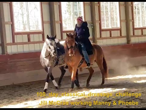 #100 day classical dressage challenge Dancing With Manny And Phoebe