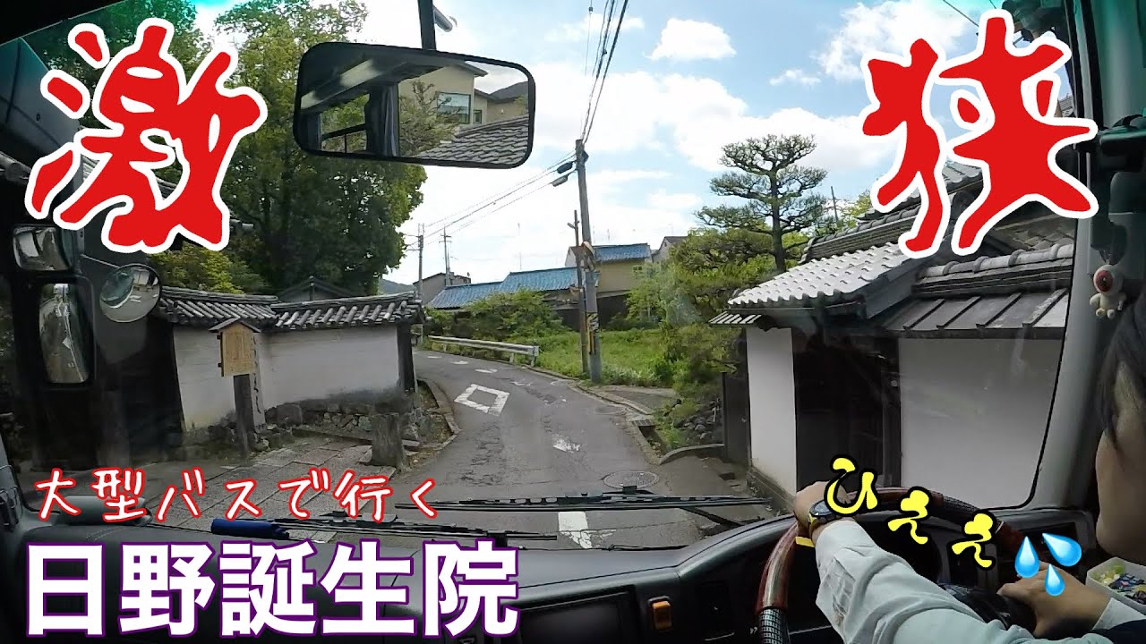 【ほぼ走行動画】12mでここ通る⁉️お寺への道のりは激狭の運転修行🥺