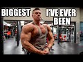 BIGGEST I'VE EVER BEEN & NEW GEAR - IFBB PRO Matt Greggo