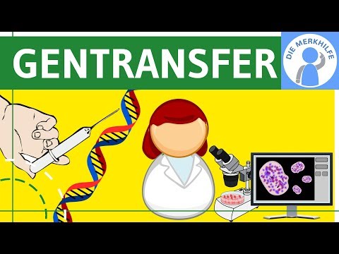 Methods of gene transfer - vectors, gene taxis simply explained, tools & basics, genetic engineer...