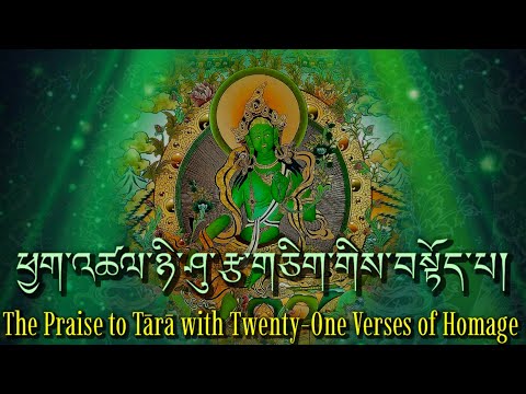 ☸The Praise To Tara With Twenty-One Verses Do Homage|སྒྲོལ་མ།|Dolma 21 Prayer, Tibetan Prayer New