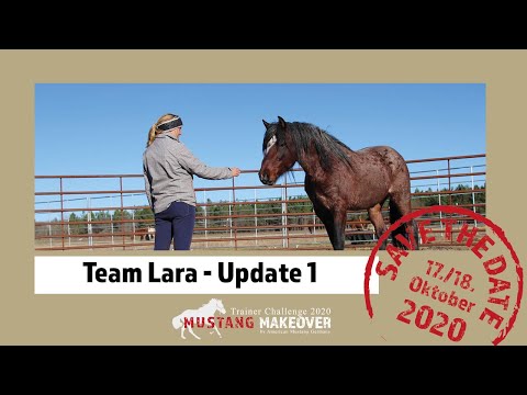 MUSTANG MAKEOVER 2020 - Team Lara (TAG 5172) - Update 1