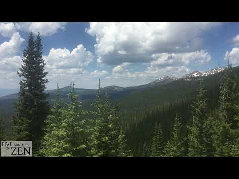 Five Minutes of Zen (FMOZ 020) Alpine forest in summer