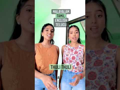4 Language Shape of You Mashup | n X t - sister duo cover #shorts