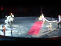 Dog Act At The Circus