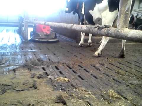 Lely Discovery working