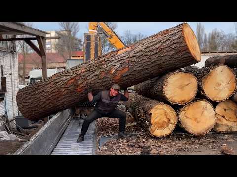 MAX LOAD Human Power in Wood Chips Production.