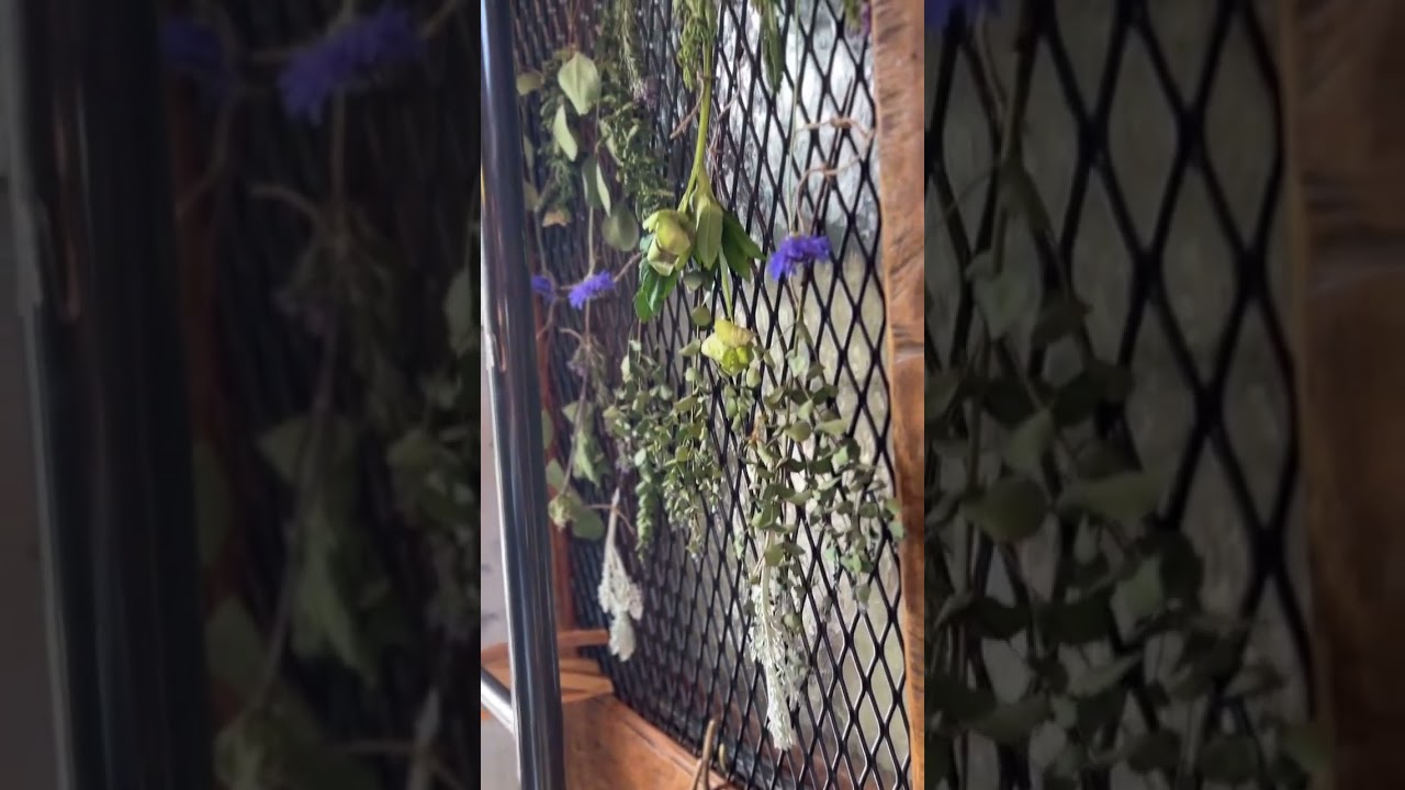 【日常のひとコマ】花束をドライフラワーに。空間づくり