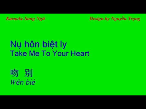 Karaoke Song Ngữ - 吻别 - Nụ hôn biệt ly - Take me to your heart (D# Min)