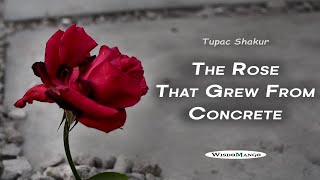 The Rose that Grew from the Concrete - Tupac (2Pac) Amaru Shakur