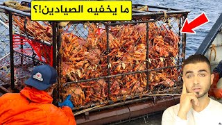 التنافس على صيد سلطعون البحر القبقب من الصيد حتى الأكل هل هو مفيد