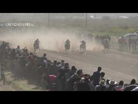 CHASCON - Club Hípico Cipriano Catriel 24-10-21