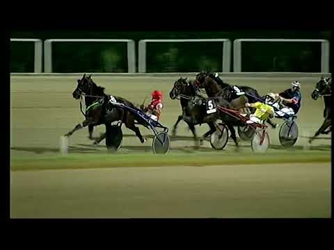 Napoli Trotto 30/07/2022 - 5ª corsa