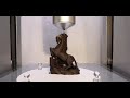 Chocolate Stallion