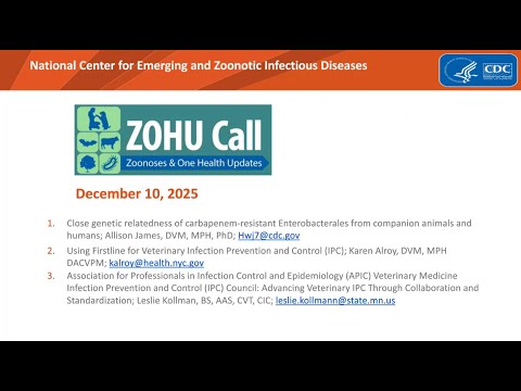 CDC ZOHU Call December 10, 2025