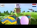 Teletubbies Nederlands | Muziek | kinder programmas | tekenfilms | animatie | 1553