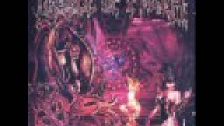 cradle of filth bathory aria ace version!