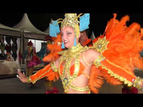 Sócios da Mangueira - Desfile I @Festame 2019