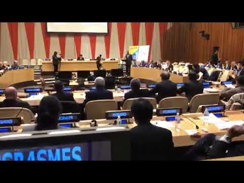 Cono D’Elia all’Onu