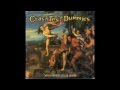 Crash Test Dummies - Mmm Mmm Mmm Mmm (HQ ...