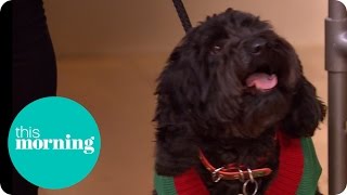 Christmas Presents for Pets | This Morning