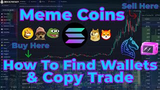 Solana Meme Coins | How To Find Profitable Wallets & Copy Trade | Trading Bot Full Tutorial