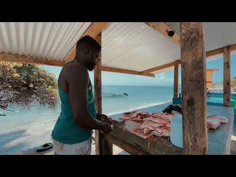 Video thumbnail t05iMgA5vC0